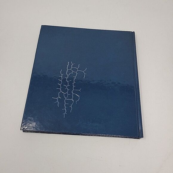 The Celtic Book Lot of 2 Book of the Dead: A Guide for Your Voyage + Oracles - Picture 4 of 13